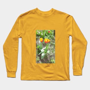 Yellow-red flowers tulips, spring nature, photo Long Sleeve T-Shirt